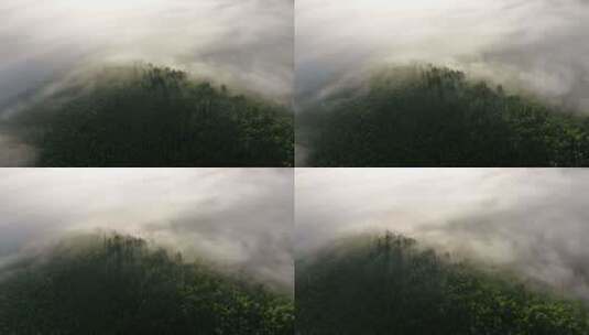 晨雾缭绕的绿色阳光山林高清在线视频素材下载