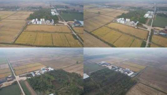 稻米水稻农田农业工厂环绕变焦高清在线视频素材下载