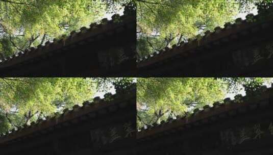 江南古风建筑屋檐旁颜色艳丽的枫叶高清在线视频素材下载