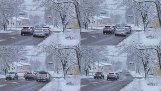 加拿大雪景高清在线视频素材下载