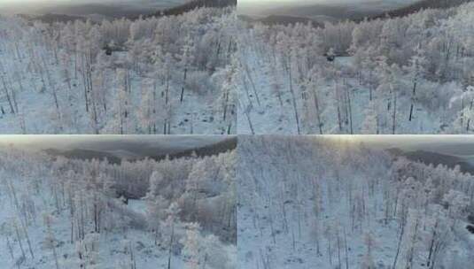 航拍内蒙古大兴安岭冰雪雾凇、雪凇高清在线视频素材下载