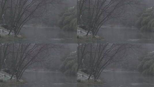 雨雪天里的浴鹄湾高清在线视频素材下载