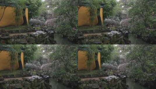 雨天园林白梅盛开古风意境高清在线视频素材下载