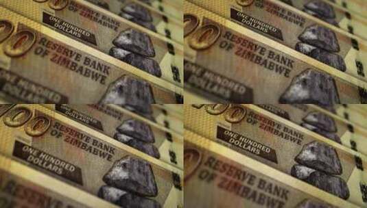 津巴布韦元钞票表面环高清在线视频素材下载