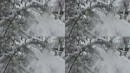 航拍特写被大雪覆盖的森林鹅毛大雪雾凇高清在线视频素材下载