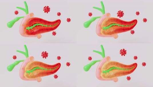 人胰腺，胆囊器官模型，三维绘制。高清在线视频素材下载