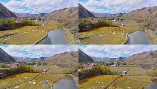 航拍四川川西新都桥鱼子西秋景彩林秋天高清在线视频素材下载