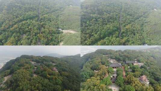 航拍茂密丛林中的蜿蜒道路泉州清源山5A景区高清在线视频素材下载