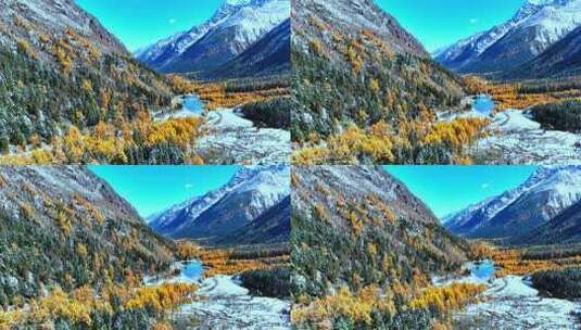 雪山下多彩树林与湖泊相映的美景高清在线视频素材下载