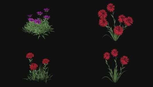 六组小红花——带通道 alpha通道高清AE视频素材下载