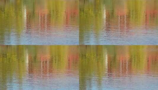 湖面反射的树叶的颜色高清在线视频素材下载