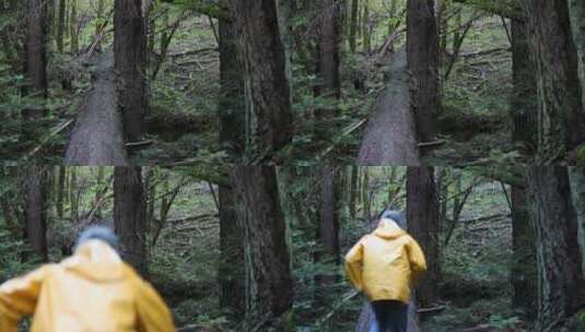 男人跑过森林里倒戈的树木高清在线视频素材下载