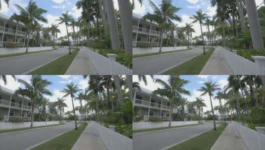 道路两旁的椰树高清在线视频素材下载