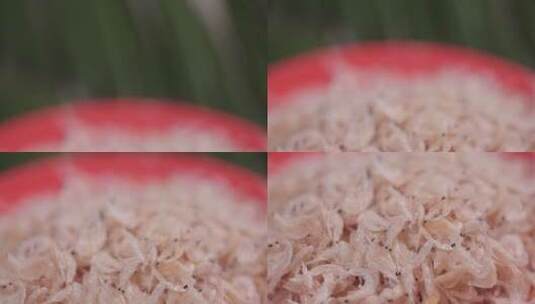 虾皮虾仁海米补钙食材高清在线视频素材下载