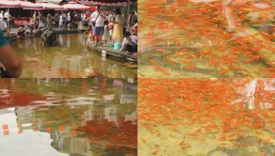 实拍亲子小孩钓鱼古镇旅游风雨廊桥许愿树高清在线视频素材下载