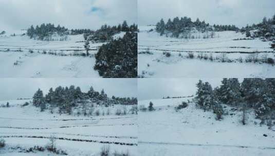 冬季白雾白雪皑皑田野山川森林高清在线视频素材下载