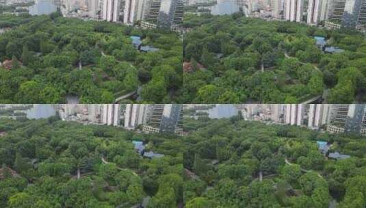 上海徐家汇公园4K航拍高清在线视频素材下载