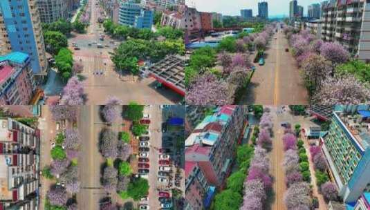 柳州城市建筑航拍高清在线视频素材下载