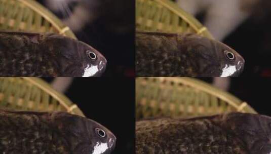 鲫鱼鱼类河鲜鱼肉高清在线视频素材下载