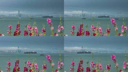 凤凰岛看市区平流雾高清在线视频素材下载