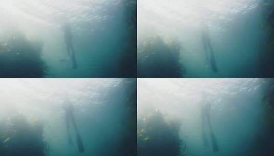 水下的潜水员高清在线视频素材下载