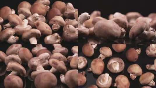 香菇蘑菇高清在线视频素材下载