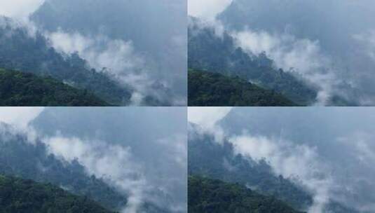 【延时】雨后山林间云雾高清在线视频素材下载