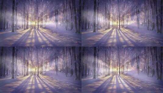 阳光穿越树林 照射在积雪覆盖的地面高清在线视频素材下载