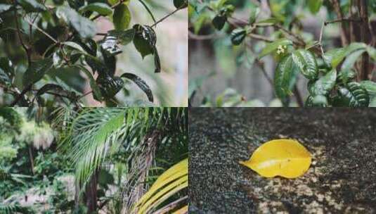 下雨伤感场景高清在线视频素材下载