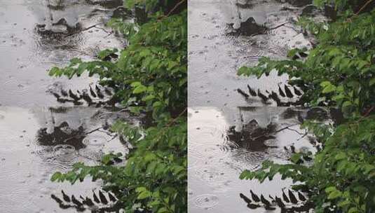 实拍下雨场景视频素材高清在线视频素材下载