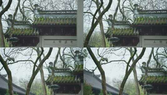 杭州钱王祠春天清明节雨天古建筑自然唯美高清在线视频素材下载