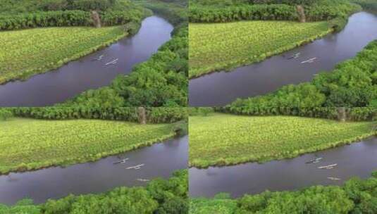 夏威夷河上皮划艇的鸟瞰图高清在线视频素材下载