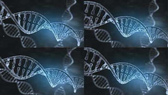 旋转 DNA 链的无缝循环动画高清在线视频素材下载