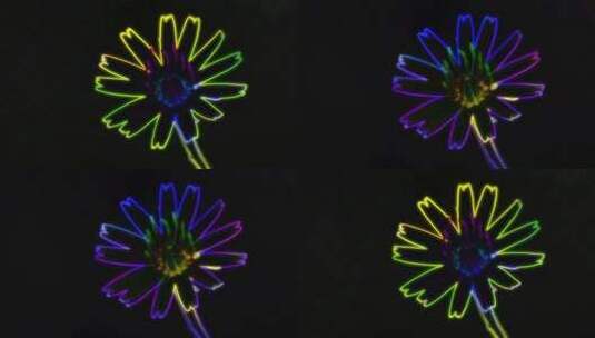 舞台荧光花朵高清在线视频素材下载