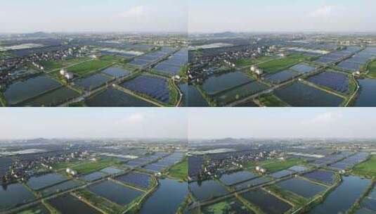 航拍江南水乡农村村庄水塘水产养殖高清在线视频素材下载
