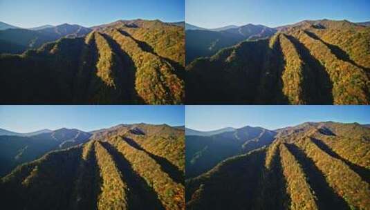 陕西秦岭秋景五彩高清在线视频素材下载