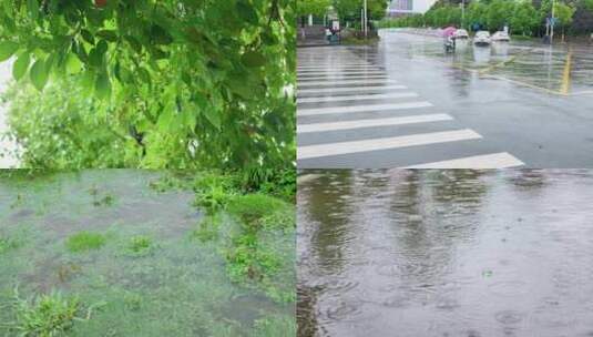 夏天夏季植物树叶上面的雨滴下雨高清在线视频素材下载