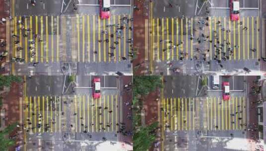 香港维多利亚港中环街景空镜高清在线视频素材下载