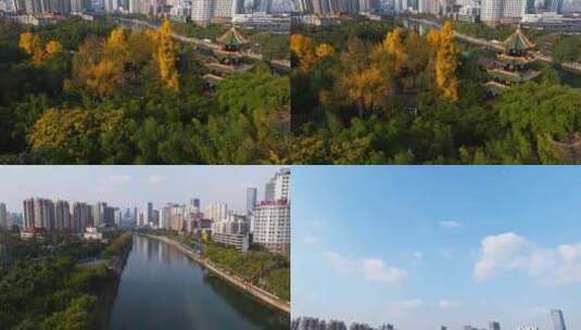 成都望江楼公园河畔城市景观高清在线视频素材下载
