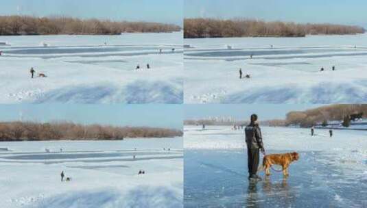 冬季北方雪地冰河冰上运动遛狗滑冰高清在线视频素材下载