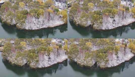 济南大明湖公园雪景航拍       荐高清在线视频素材下载