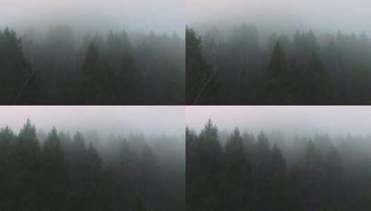 航拍森林薄雾高清在线视频素材下载