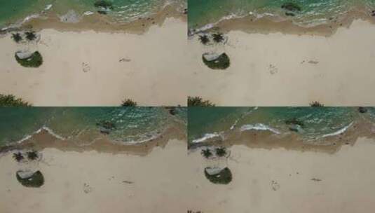 白色海滩椰树高清在线视频素材下载