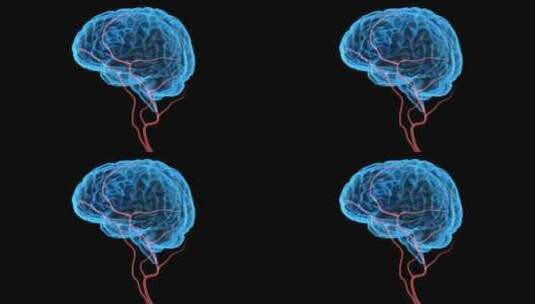 大脑 大脑神经 神经血管 脑血管高清在线视频素材下载