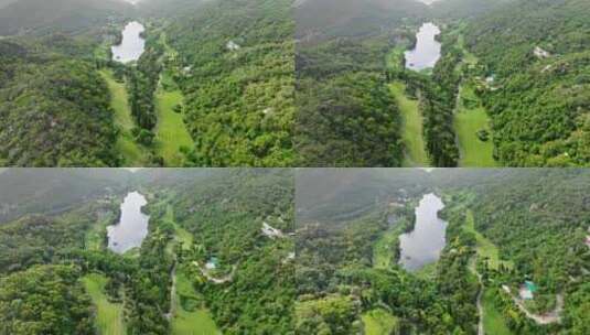 厦门 上李 水库 绿地 湖水 绿植 健康步道高清在线视频素材下载