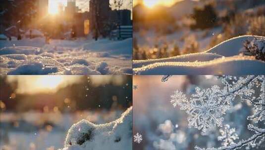 冬天冬季雪景冰晶雪花特写大雪下雪天冬至冰高清在线视频素材下载