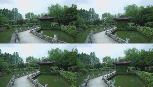 武汉东湖磨山景区盆景园高清在线视频素材下载
