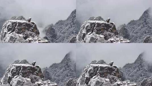 云雾缭绕的雪山景色 安徽黄山 怪石高清在线视频素材下载