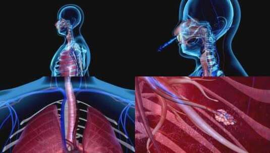 人体呼吸原理演示_4K高清在线视频素材下载