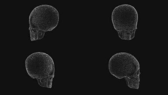 金属雕刻头骨高清在线视频素材下载